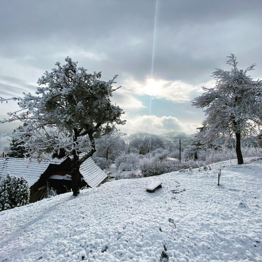 Libling Ruzovy Guest House บันสกา ชีอาว์นีซา ภายนอก รูปภาพ